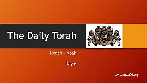 Noach / Noah - Day 6