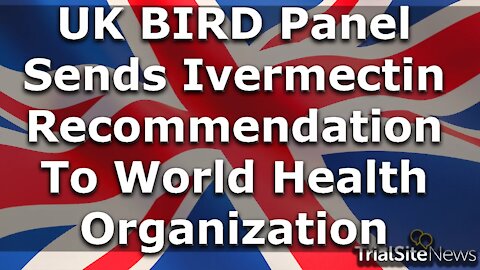 Beyond The Roundup | UK BIRD Panel Sends Ivermectin Recommendation To World Health Organization