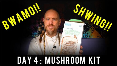 Day 4: Organic Pearl Oyster Mushroom Grow Kit (10 days to Harvest) Sustainability | How To Review