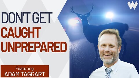 Don't Be A Deer In The Headlights In 2022: Take Smart Steps Now To Strengthen Your Wealth Prospects