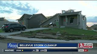 Bellevue continues storm cleanup