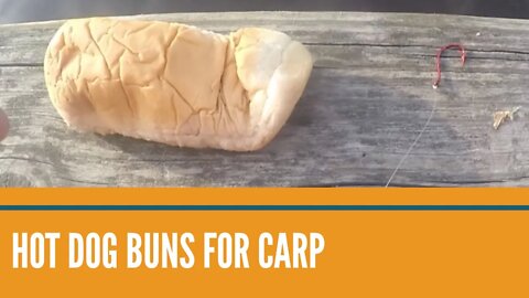 Hot Dog Buns For Carp / Easy Carp Fishing Rigs For Beginners / Carp Fishing Tips For Beginners