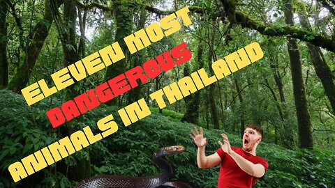 11 MOST DANGEROUS CREATURES IN THAILAND