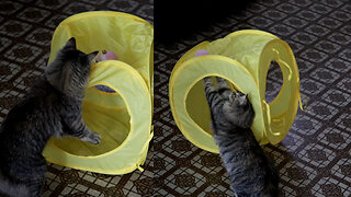 Leia Energetically Playing With Cube & Toys