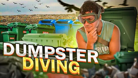 Freeloader Challenge: Is Dumpster Diving Stonks?