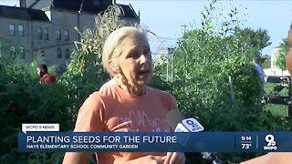 Garden at Hays Porter Elementary growing seeds and minds