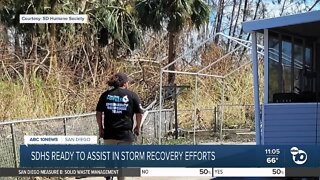 San Diego Humane Society ready to assist in storm recovery