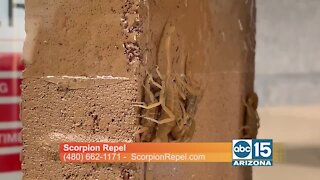 Got scorpions? Keep them away with Scorpion Repel and AVERZION!