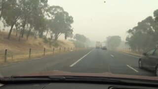 The Australian Bushfires