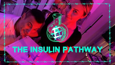 THE SECRETS OF INSULIN | HOW TO USE INSULIN TO BECOME A MONSTER