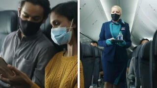 WestJet's Video Series Shows You Exactly What Flying Looks Like Right Now