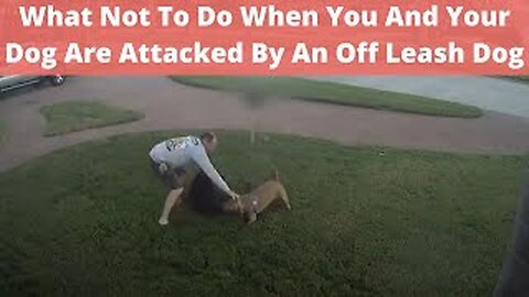 Dog Attack: What To Do & What Not To Do When Attacked By Off-Leash Dog, Defend Against Dog Attack