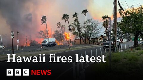 At least 36 dead as Hawaii fires devastate island of Maui