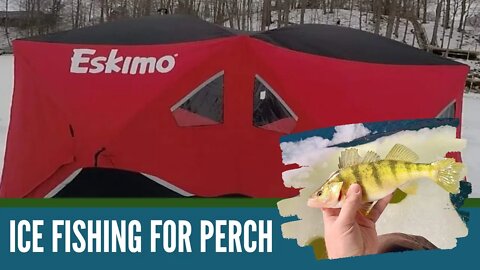 Ice Fishing For Perch / Eskimo Fatfish Shanty / Ice Fishing Michigan / Rainbow Lake Ice Fishing 2021