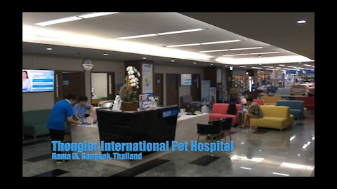 Thonglor International Pet Hospital at Rama IX - Lobby