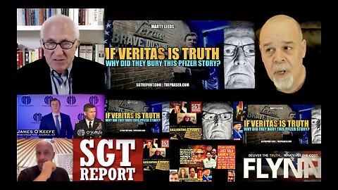 SGT Report Audience Christopher James Harley Schlanger Encourage General Michael Flynn Investigation