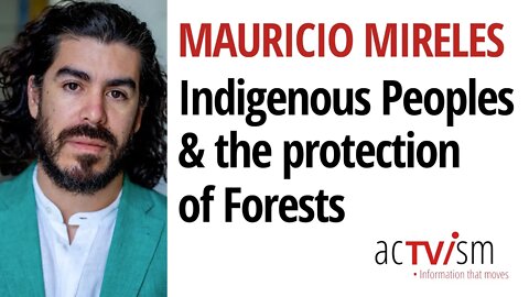 Why We Need Indigenous Peoples to Save Our Forests