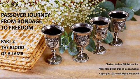 Passover Journey from Bondage to Freedom - Part 3 - Yeshua the Lamb