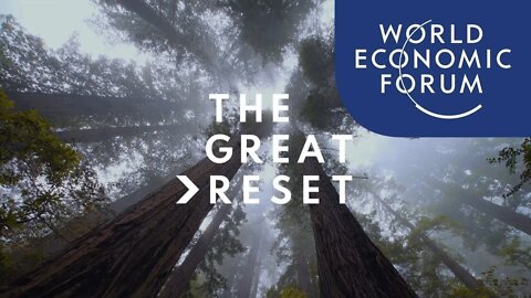 DISCUSSION AND BOOK REVIEW COVID 19 The Great Reset by Klaus Schwab