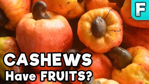 The Fruit that Grows the Cashew! Cashew Apple | Fruits You've Never Heard Of