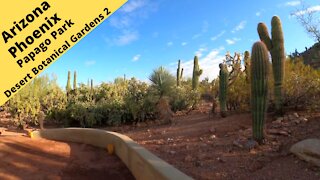 Arizona Phoenix Desert Botanical Garden in Papago Park 2