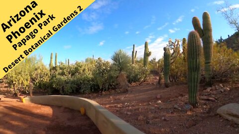 Arizona Phoenix Desert Botanical Garden in Papago Park 2