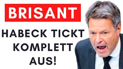 Habeck beleidigt alle Deutschen als verantwortungslose Soziopathen!@Alexander Raue🙈