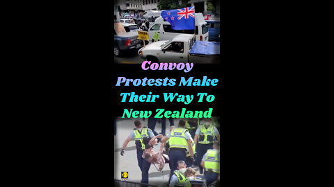 Convoy Protests Make Their Way To New Zealand