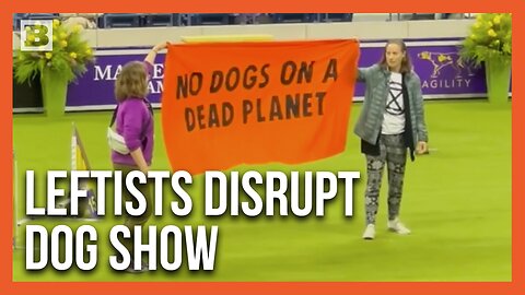 "No Dogs on a Dead Planet" Leftists Interrupt Westminster Dog Show