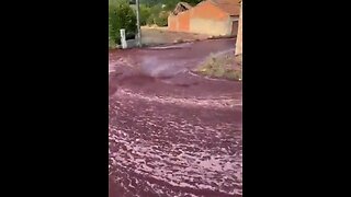 Flood of Red WINE in Portugal