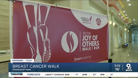 BAPS Charities Breast Cancer Walk