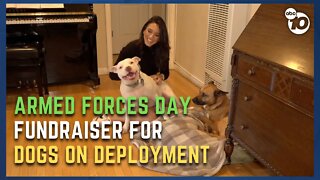Nonprofit fostering dogs with owners on deployment hosts fundraiser this weekend