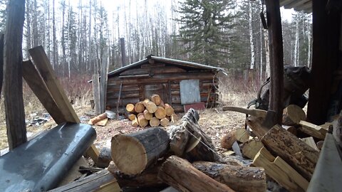 31 Days in the wild taiga | Siberia | Meeting with a bear | Episode 5