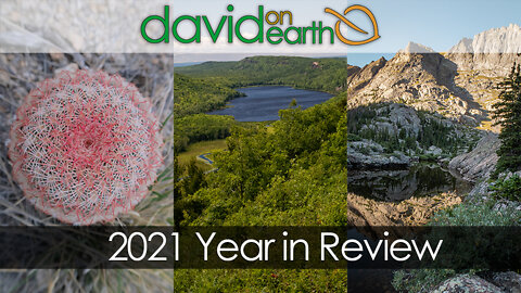 David on Earth 2021 in Review - What's Coming in 2022