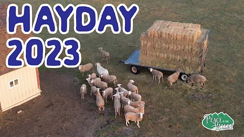 Hayday 2023! - E145