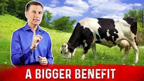 Benefits of Grass-Fed Products Go Beyond Just Omega-3 Fatty Acids – Dr. Berg