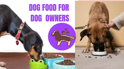 Sexy Ways To Improve Your IMPROVE YOUR DOG’S HEALTH & DIET TODAY