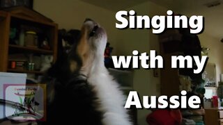 Gemini Oasis | Singing with my Aussie