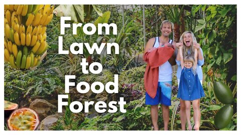 We Turned Our Yard Into A Food Forest During Quarantine | Epic Garden Tour