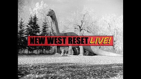 Calgary Zoo History: New West Reset LIVE! 44 #reset #oldworld #mudflood