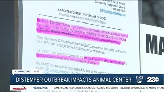 Bakersfield Animal Care Center urges community to vaccinate their pets
