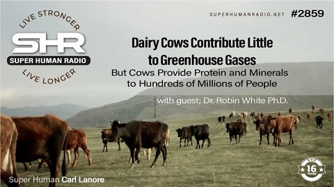 Dairy Cows Contribute Little to Greenhouse Gases But Provide Protein and Minerals to Millions