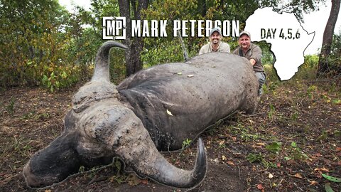 Cape Buffalo Hunting Zambia Africa: Day 4-5-6 | Mark Peterson Hunting