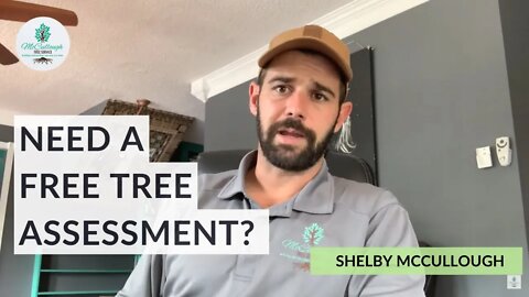 Hurricane Season Is Coming - Get A Free Tree Assessment Now