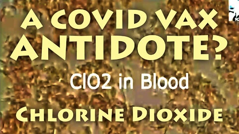 A Covid Vax Antidote?