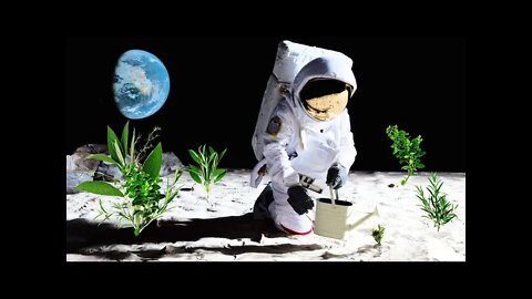 For The First Time NASA Grows Plants In Soil From The Moon!