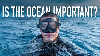 IS THE OCEAN IMPORTANT?