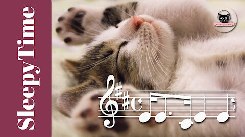 SleepyTime Music for Your Cat! ♫ - By Soundscapes For Pets