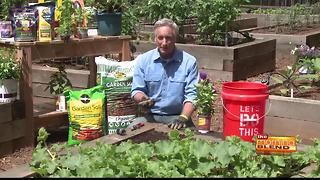 Edible gardening tips