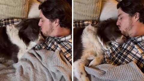 Once-abused shelter dog falls in love with owner's boyfriend